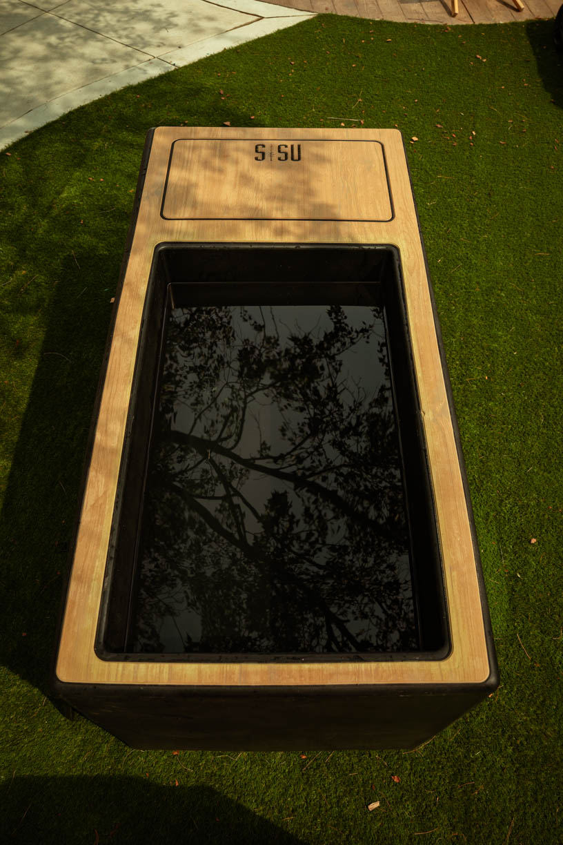 The Drake Cold Plunge