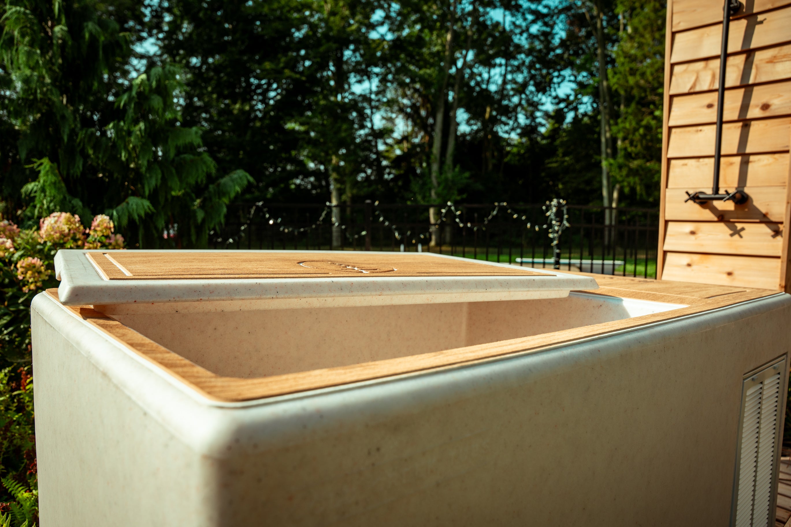 The Drake Cold Plunge