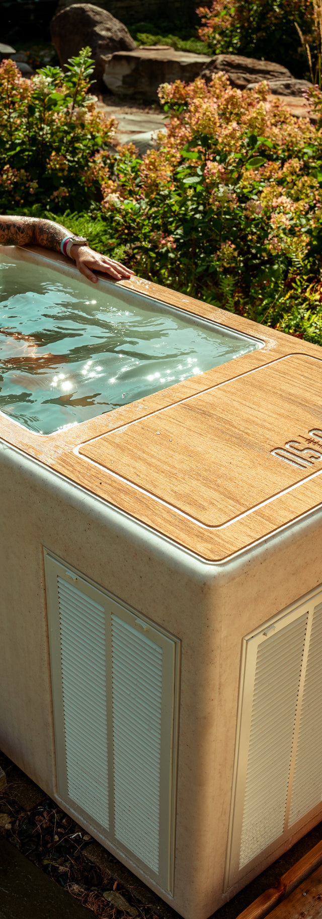 The Drake Cold Plunge