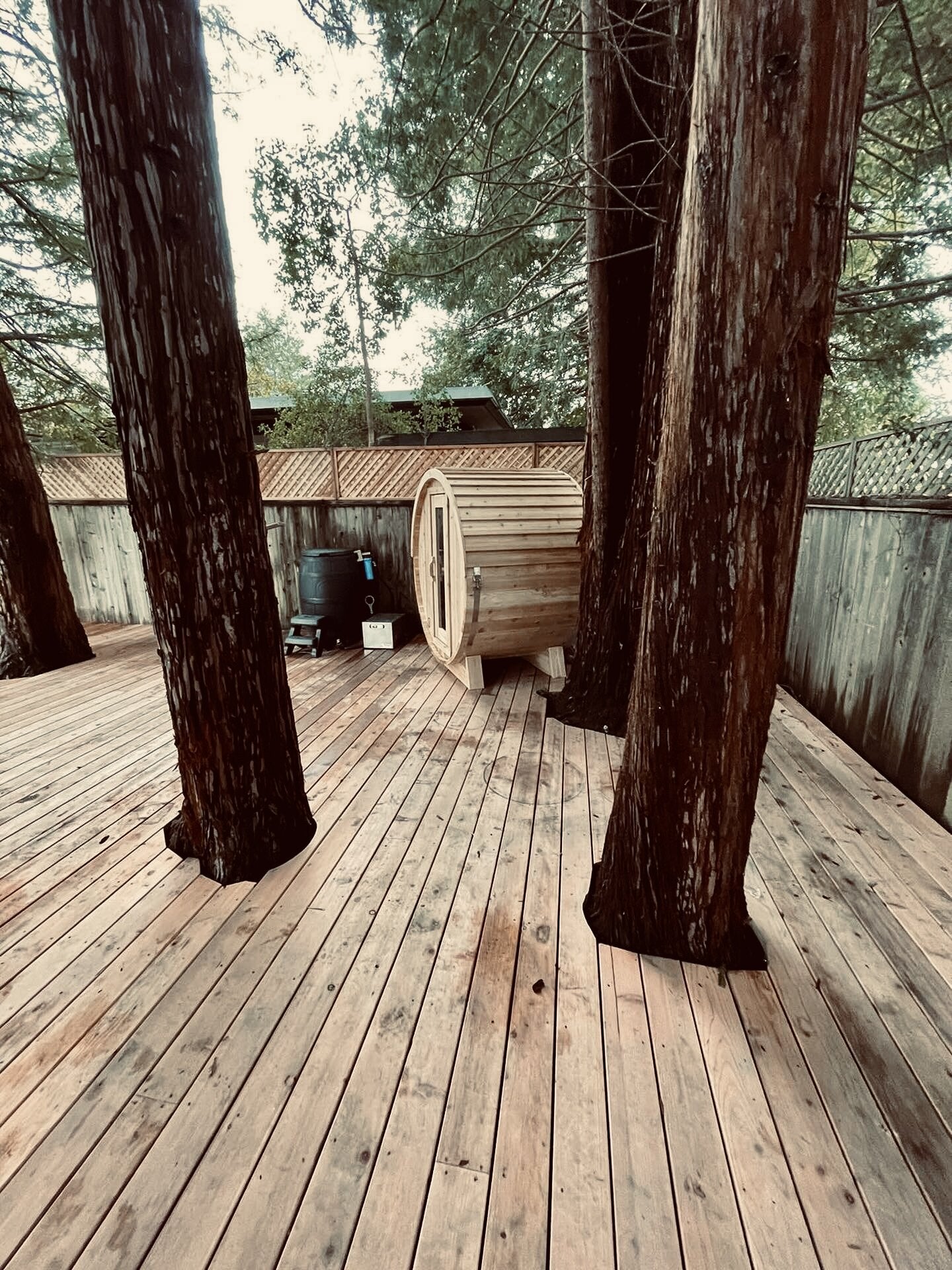 Cedar barrel sauna on a wide wooden deck built around towering tree trunks