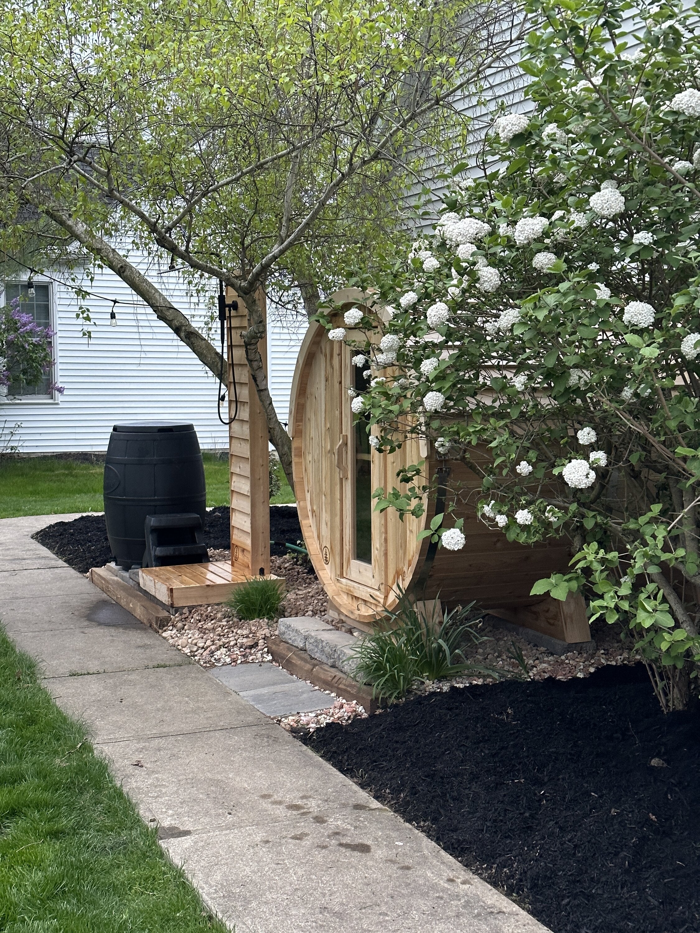 Barrel sauna and cedar outdoor shower tucked behind a white flowering shrub in a mulched garden bed